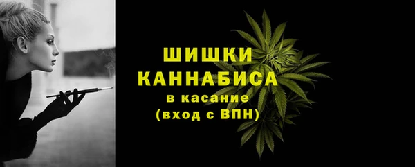 твердый Гусиноозёрск