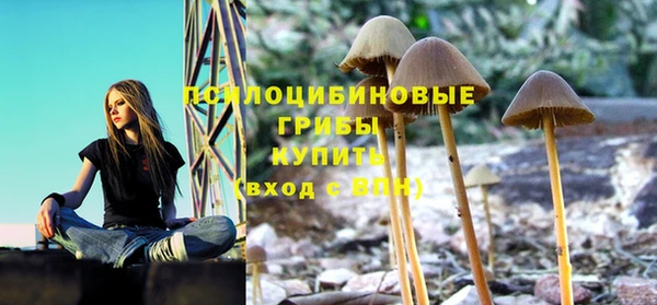 твердый Гусиноозёрск